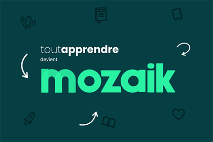 Mozaik2 portail